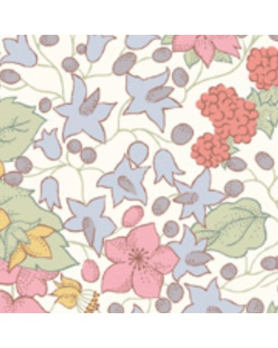 Baudou Paris - Protège Carnet De Santé