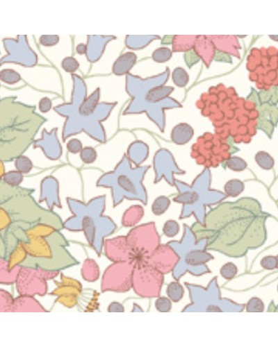 Baudou Paris - Protège Carnet De Santé