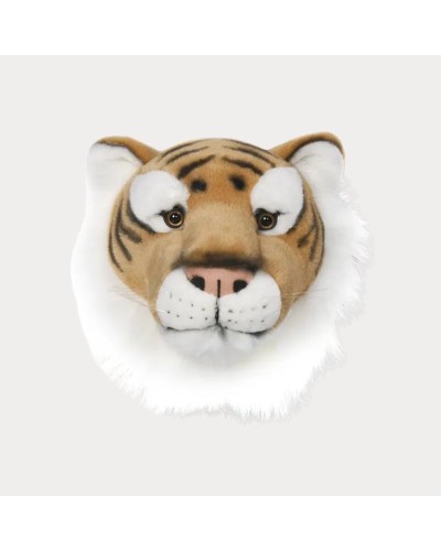 Baudou Paris - Tête de Tigre