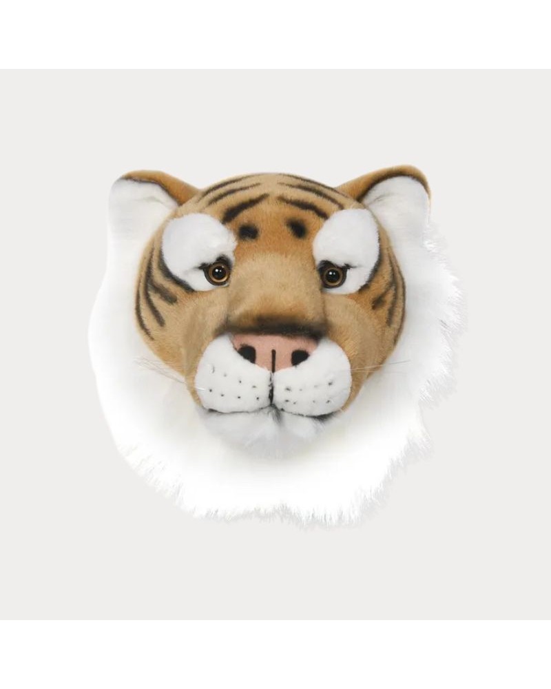 Baudou Paris - Tête de Tigre