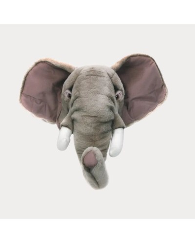 Baudou Paris - Tête D'Éléphant