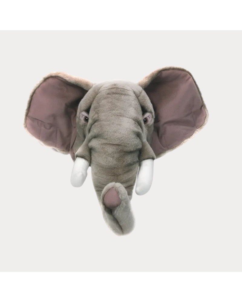 Baudou Paris - Tête D'Éléphant