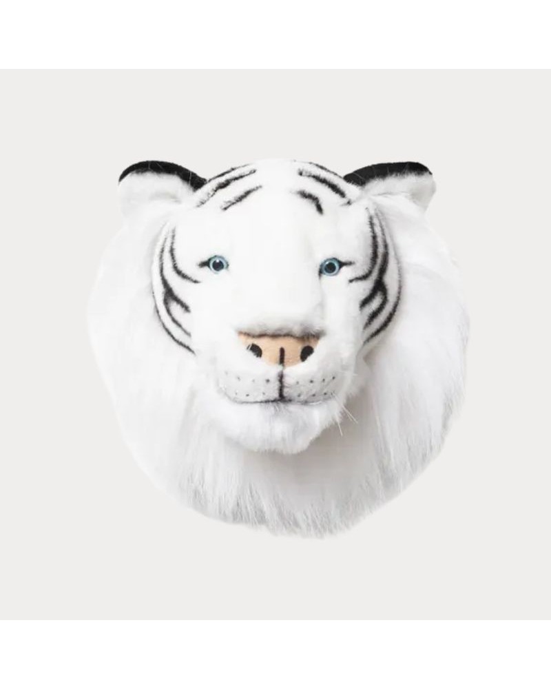 Baudou Paris - Tête De Tigre Blanc