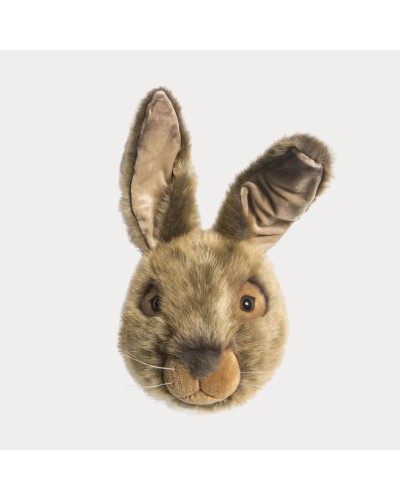 Baudou Paris - Tête De Lièvre