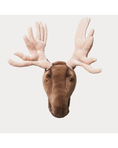 Baudou Paris - Tête D'Élan