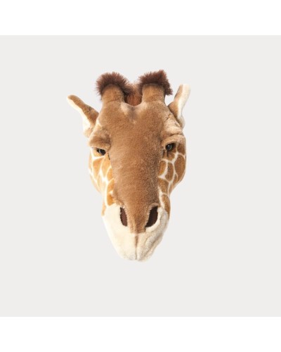 Baudou Paris - Tête De Girafe