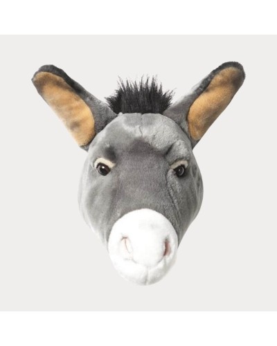 Baudou Paris - Tête D'Âne