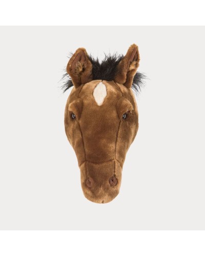 Baudou Paris - Tête De Cheval