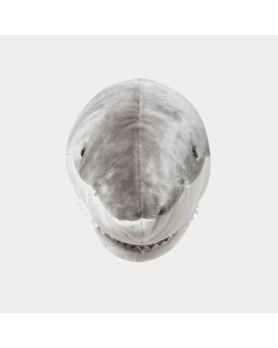 Baudou Paris - Tête De Requin