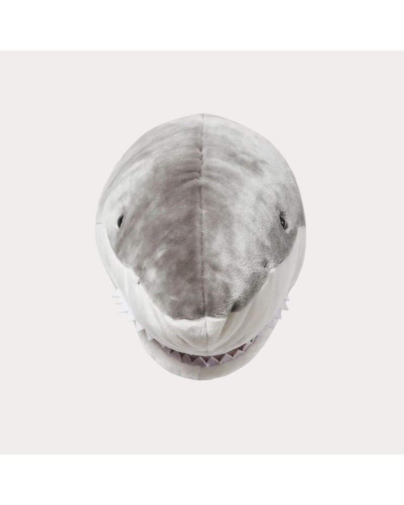 Baudou Paris - Tête De Requin