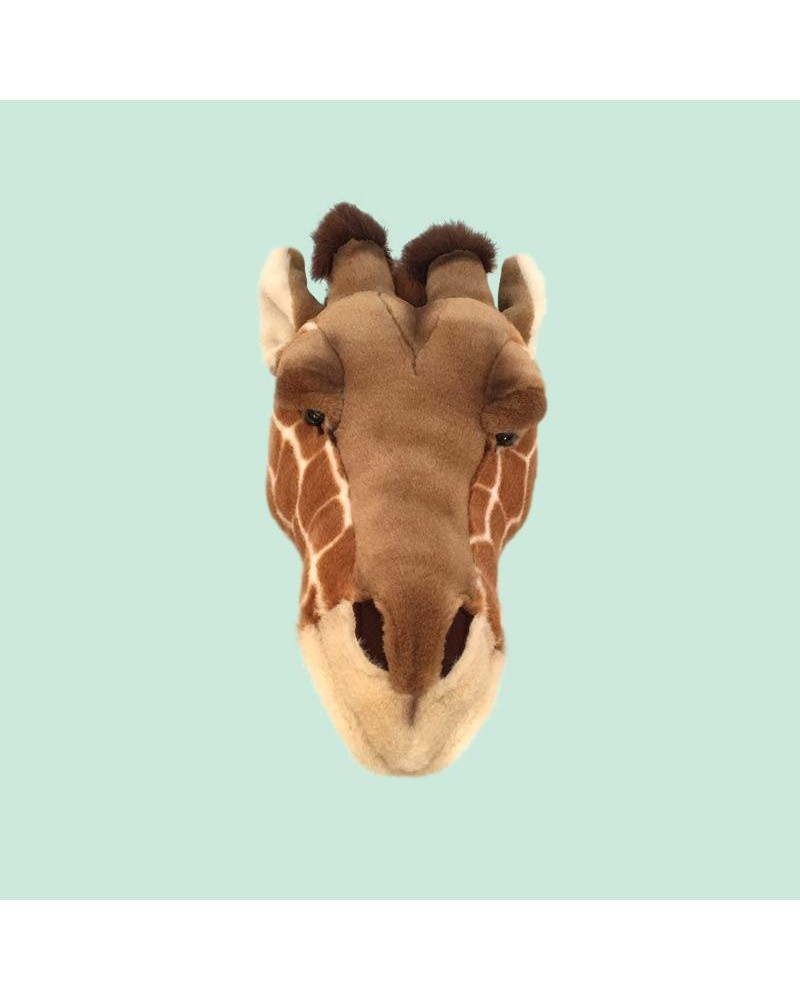 Baudou Paris - Tête De Girafe