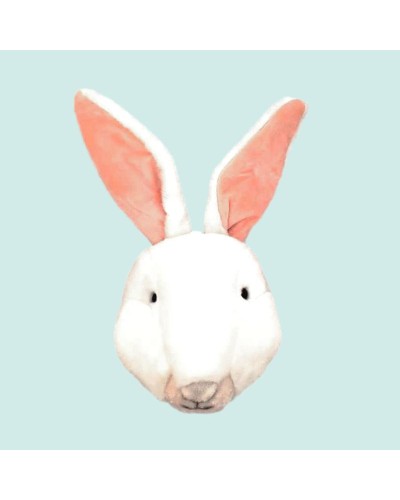 Tête de lapin blanc